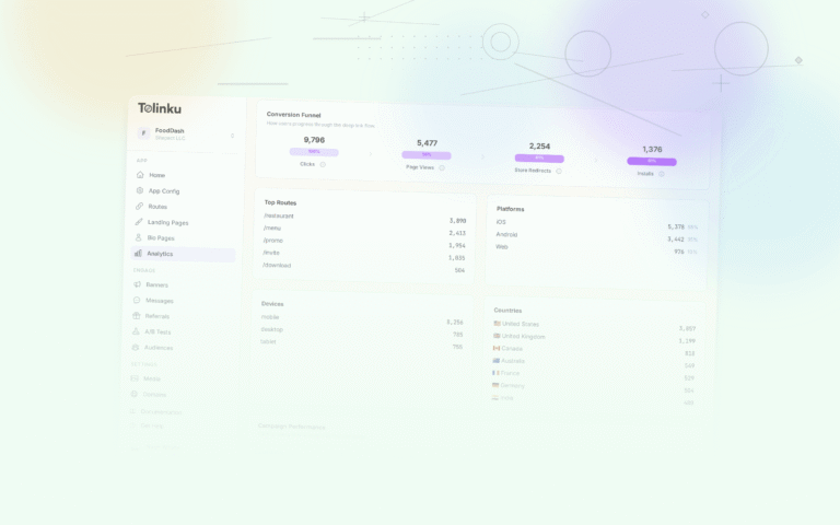 Tolinku mobile attribution dashboard screenshot for analytics blog posts