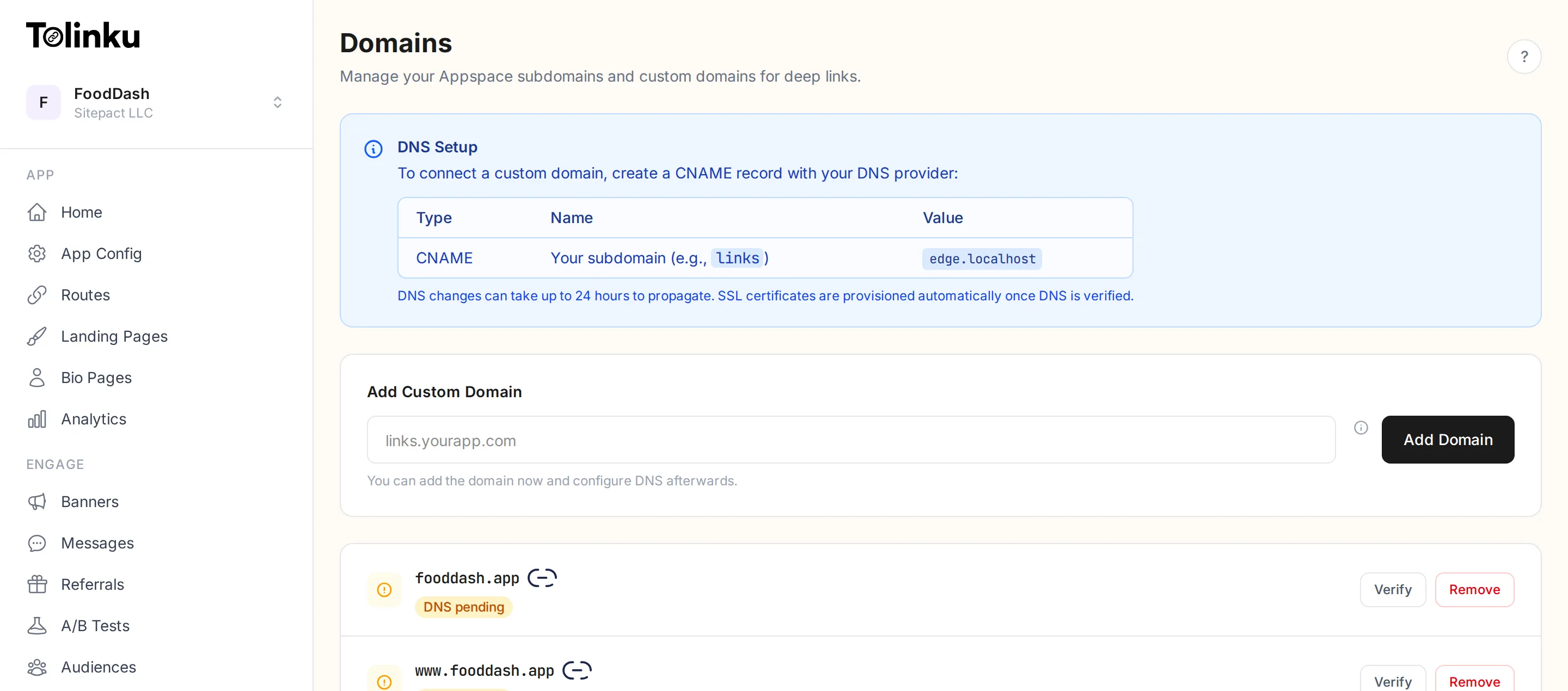 Domains page showing DNS setup instructions, custom domain input field, and existing domains with verification status